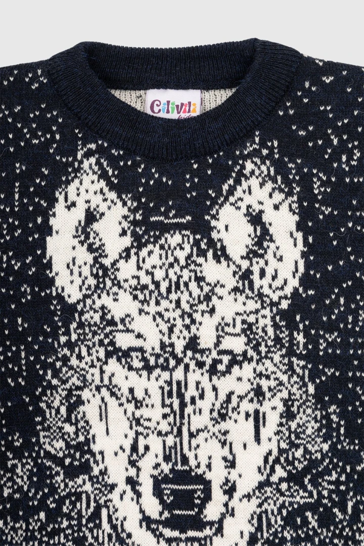 Свитер однотонный для мальчика Cilivili 432 116 см Синий (2000990167644W)  Фото №7