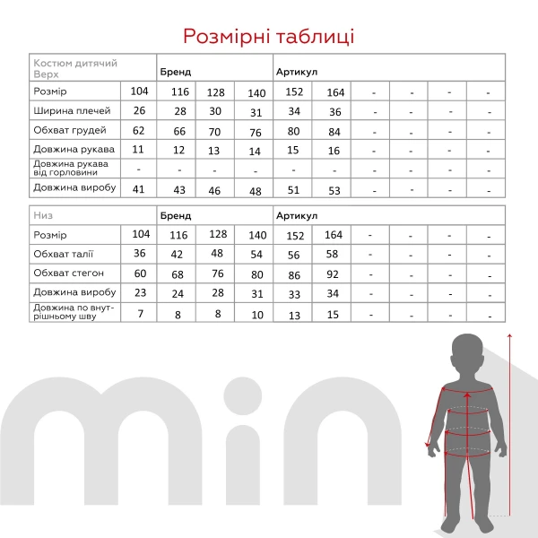Піжама для хлопчика DALMINA П249 104 см Сірий  Фото №13