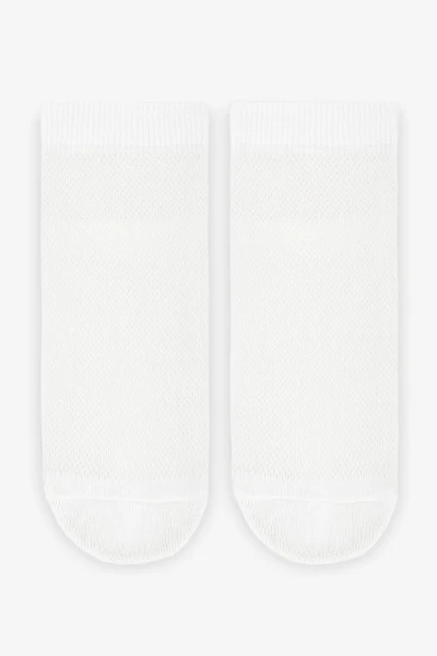 Носки для мальчика Premier Socks 15Д-4П 20-22 Белый  Фото №1