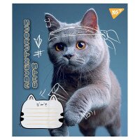 Тетрадь ученическая YES 766539 Разноцветная (4823092278173)(SC)  Фото №1