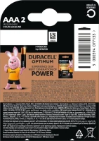 Батарейки DURACELL Basic 77133 AAA1.5V LR03 2 шт на блістері  Фото №0
