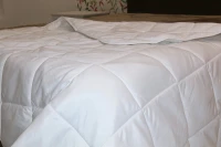 Ковдра ТМ Fine Sleep &quot;Fine Dream&quot; Синт 200, Мікрофібра, 1400х2050 735210519-140205 (2000990534033)  Фото №1