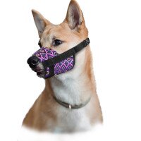 Намордник ТМ HIDOG &quot;Aztec&quot; из нейлона регулируемый №1(14-20см) 130-1003 (2100102380012)(SN)  Фото №2