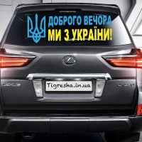 Наклейка на авто &quot;Добрый вечер Желто-Синяя&quot; 110 х 40 см (2000989022497)  Фото №0