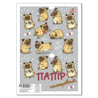 Бумага цветная Бриск УВ-5 9 цветов (4820058221303)(SC)  Фото №1