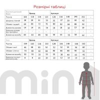 Футбольна форма для хлопчика BLD UKRAINE 104 см Синій  Фото №6