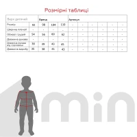 Кофта с принтом для мальчика Lizi 3548 92 см Серый  Фото №3