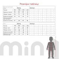 Костюм футболка+шорти для хлопчика Dinomin 5201 104 см Сірий  Фото №6