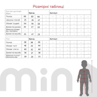 Костюм вельсофт дитячий Balli 111 68 см Сірий  Фото №8
