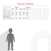 Куртка зимова для хлопчика Snowgenius H33-048 98 см Синій (2000990062543W)  Фото №12