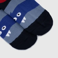 Шкарпетки для хлопчика Leostep 1000611314 14 Синій (4820243005145А)  Фото №2