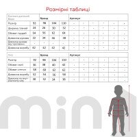 Пижама для мальчика Динозавр 92 см Серый  Фото №8