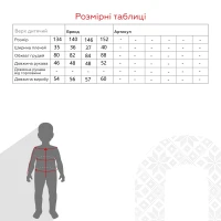 Поло з візерунком для хлопчика ALISA 6012 140 см Білий (2000990554611D)  Фото №8