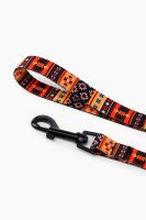 Повідець ТМ HIDOG &quot;Boha orange&quot; , ширина 10 мм (довжина 152 см) (2100102320018A)(SN)  Фото №1