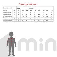 Сорочка з вишивкою для дівчинки Мережка Фіалка 104 см Білий (2000990558657A)(SC)  Фото №11