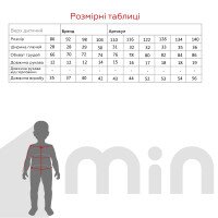 Рубашка вышиванка для мальчика КОЗАЧЕК ИЛЬЯ 92 см Разноцветный (2000989824633S)(SC)  Фото №3