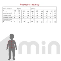 Сорочка з вишивкою для хлопчика КОЗАЧЕК КОЗАК 104 см Червоний (2000902206676D)(SC)  Фото №12