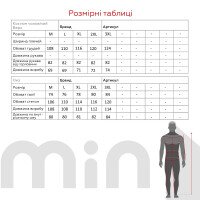Спортивний костюм чоловічий Escetic RG0006 L Світло-сірий  Фото №8