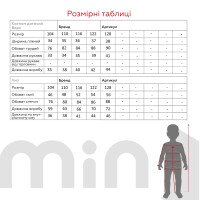 Спортивний костюм худі+штани для дівчинки Dinomin 76085 104 см Чорний  Фото №8