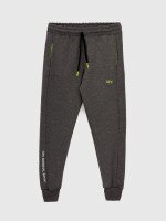 Спортивные штаны с принтом для мальчика Atabey 2314 140 см Графитовый (2000990552464D)  Фото №4