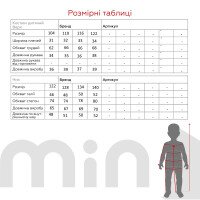 Спортивный костюм для мальчика ADK 2833 кофта + штаны 104 см Черный (2000989916338D)  Фото №17