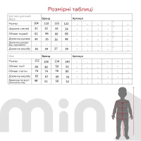 Спортивный костюм для мальчика ADK 2833 кофта + штаны 104 см Черный (2000989916338D)  Фото №17