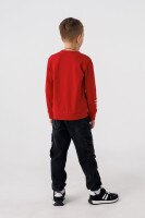 Свитшот с принтом для мальчика Deniz 05023 104 см Красный (2000990438317D)  Фото №2