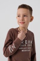 Світшот з принтом для хлопчика Deniz 05023 98 см Коричневий (2000990438225D)  Фото №1