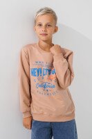 Свитшот с принтом для мальчика Ecrin 3825 116 см Бежевый (2000990694034D)