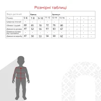 Термоджемпер для хлопчика FSM 212 11-12 років Чорний (2000990054579W)  Фото №11