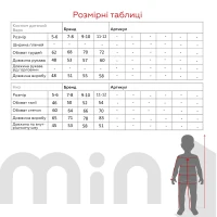Термокостюм для хлопчика FSM 213 110-116 см Сірий  Фото №14