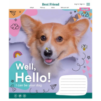 Зошит учнівський &quot;Well, Hello!&quot; 1 вересня 766302 12 арк. (4823092274625)(SC)  Фото №0