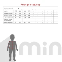 Толстовка з принтом для хлопчика ALG 425611 176 см Сірий  Фото №9