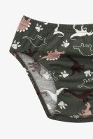 Трусы для мальчика Nicoletta 41606 2-3 года Зеленый  Фото №0