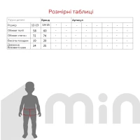 Труси для хлопчика Donella 831101 12-13 років Синій  Фото №2