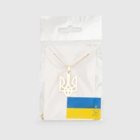Прикраса Кулон на ланцюжку Герб золото Різнокольоровий (2000990231420А)  Фото №1