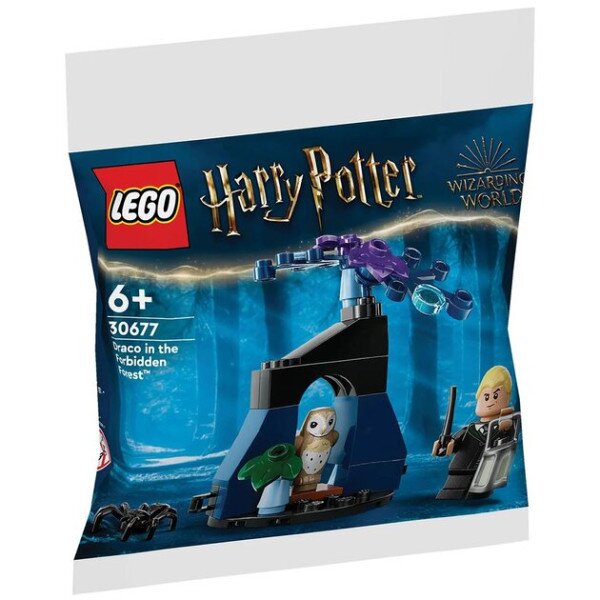 Конструктор LEGO Драко в Запретном лесу 30677 33 детали Разноцветный