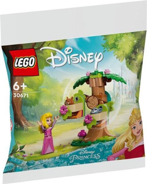 Конструктор LEGO Лесная игровая площадка Авроры 30671 60 деталей Разноцветный