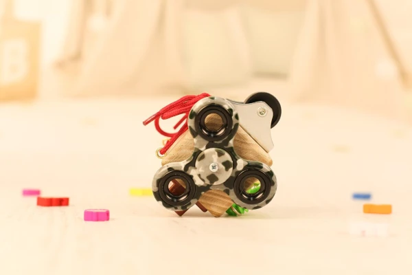 picture-3