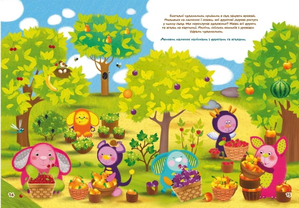 picture-4