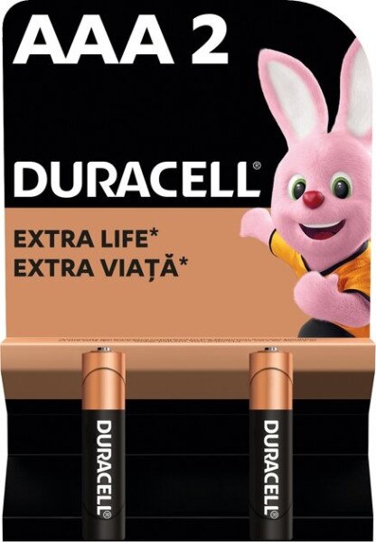 Батарейки DURACELL Basic 77133 AAA1.5V LR03 2 шт на блістері