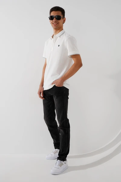 picture-2
