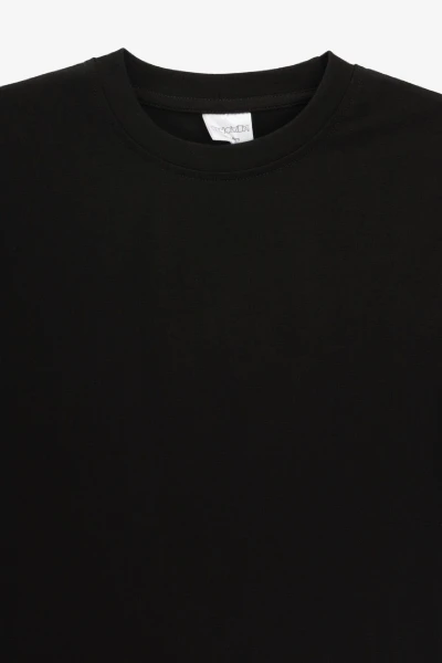 picture-3
