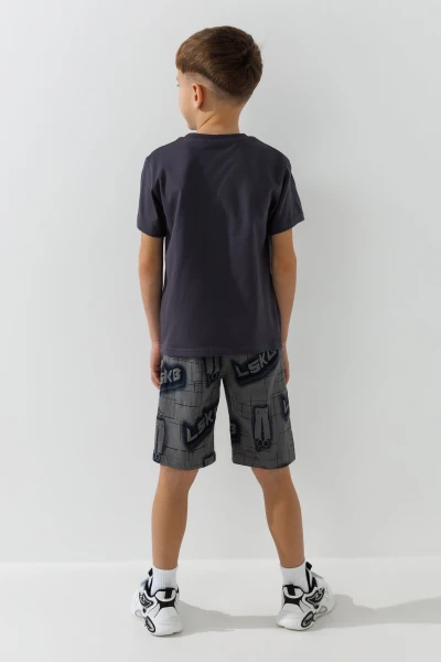 picture-4