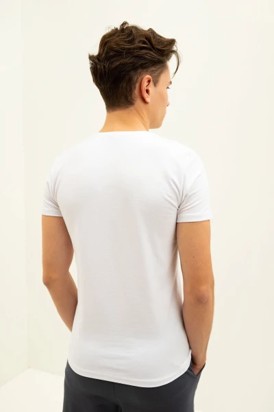 picture-3