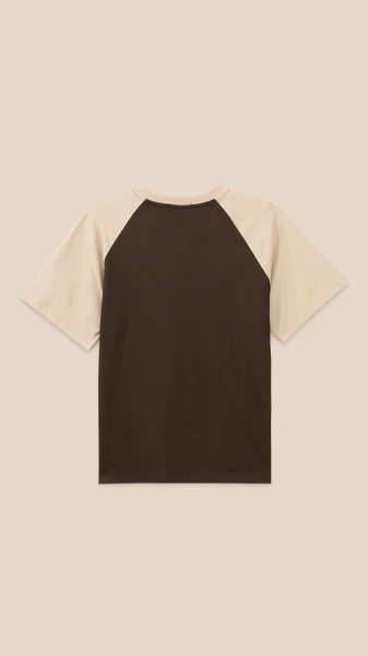 picture-3