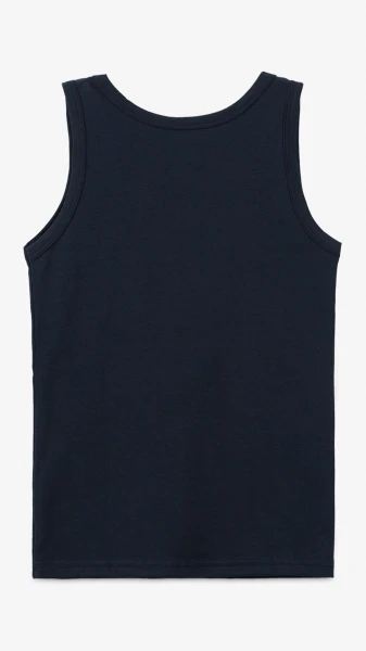 picture-4