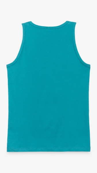 picture-4