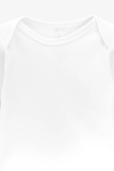 picture-3