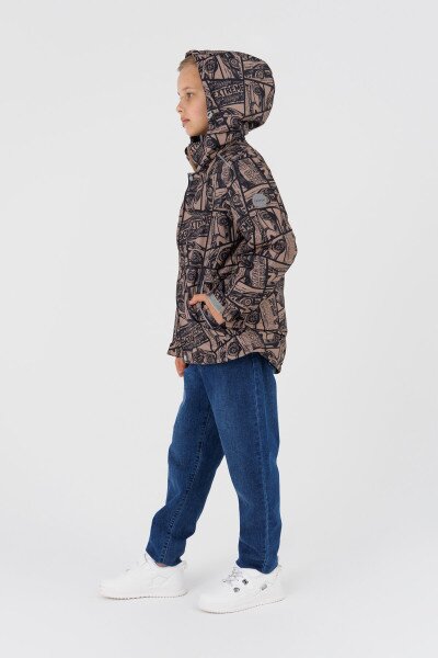 picture-4